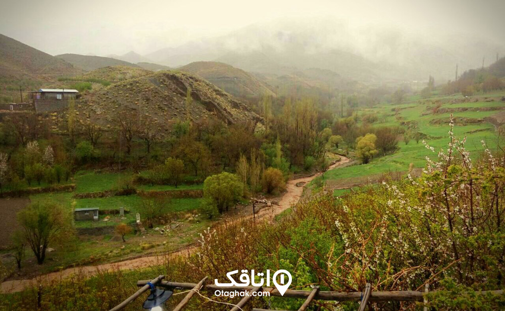 حتکن زرند