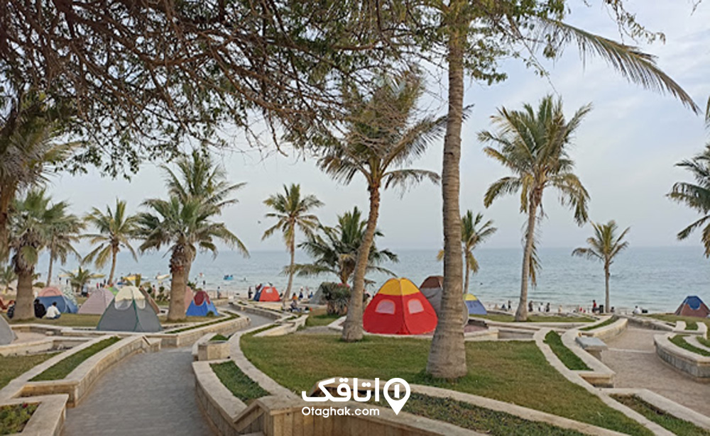 درباره پارک ساحلی زیتون