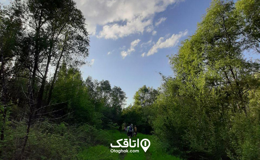روستای نسمه پاوه