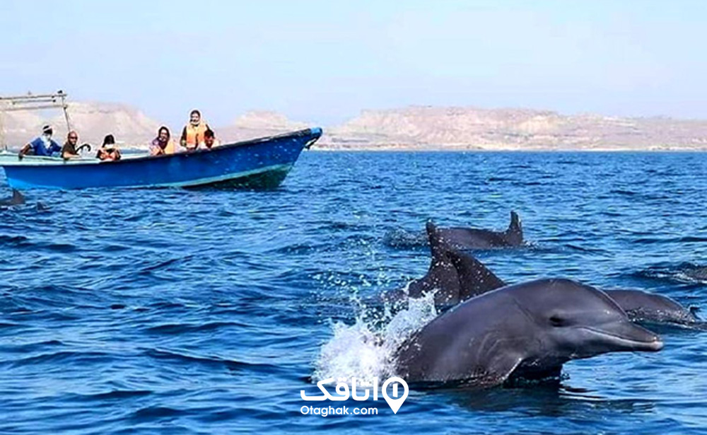 سفر به جزیره هرمز در فصل بهار