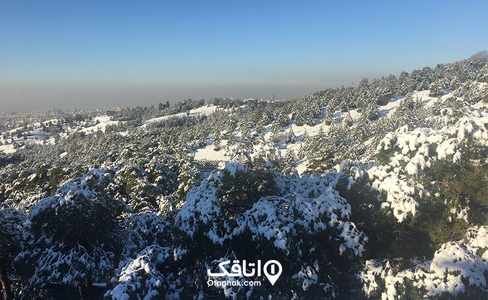 مسیر دسترسی به پارک جنگلی لویزان
