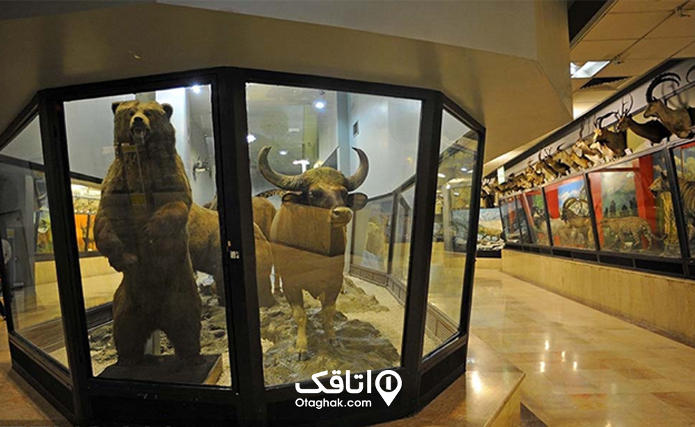 موزه تنوع زیستی پردیسان