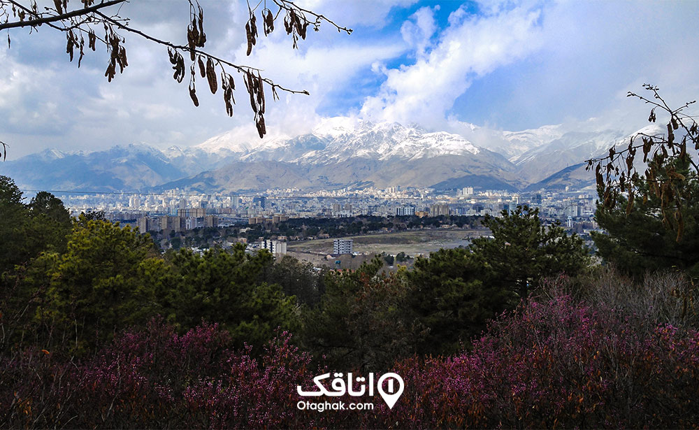پارک جنگلی شیان