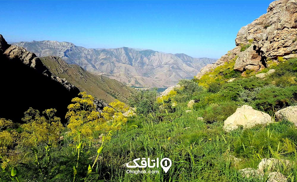 ییلاق ویمیر پاوه