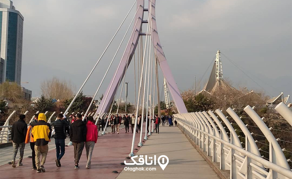 پیاده روی در پل طبیعت تهران