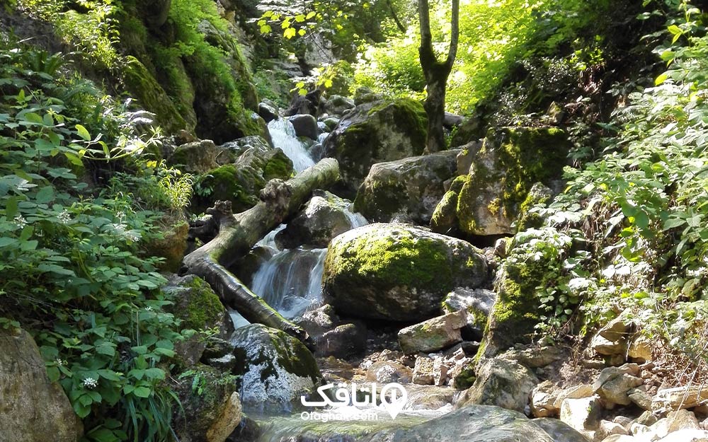 آبشار پشمکی