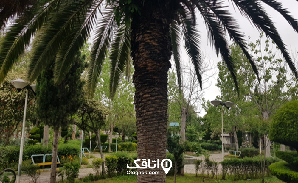 آبوهوای بندر گز