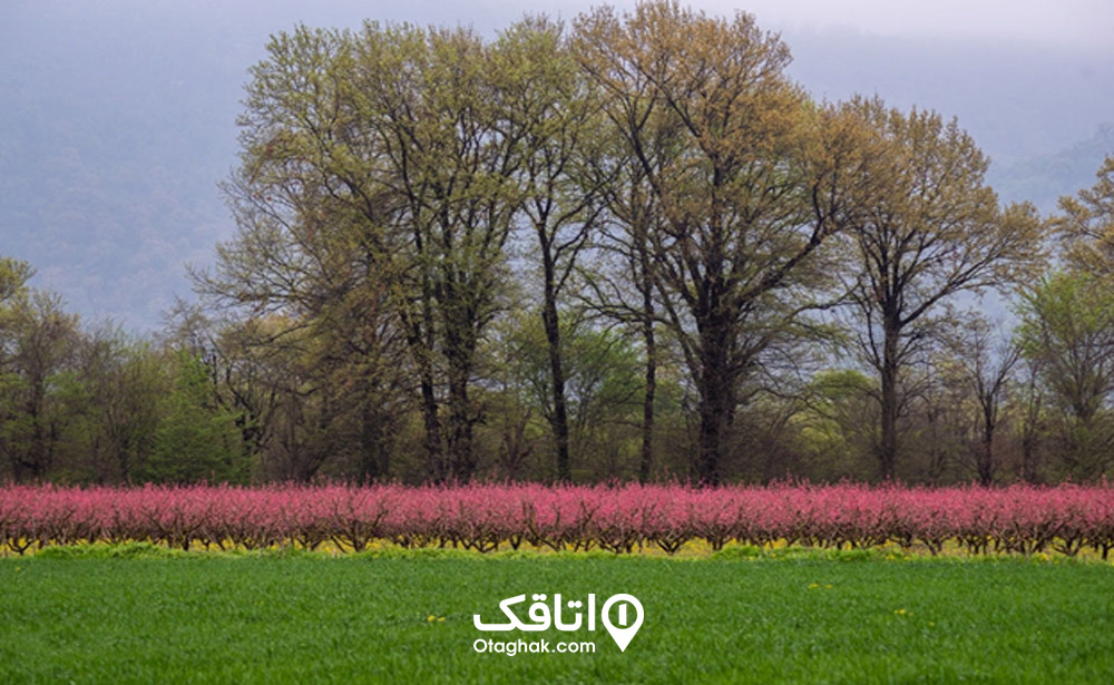آبوهوای رامیان