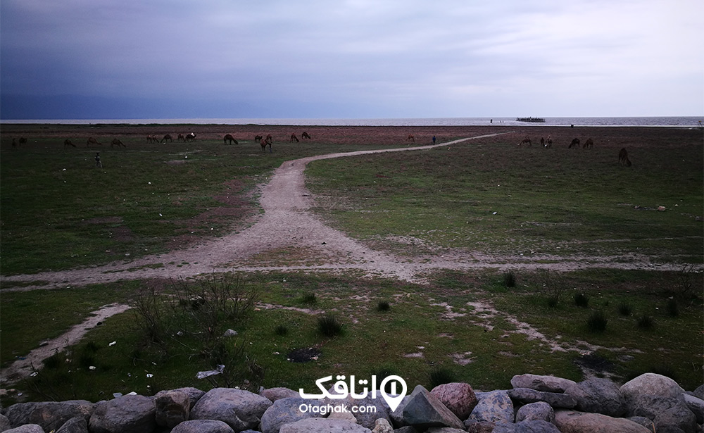 آب و هوای بندرترکمن