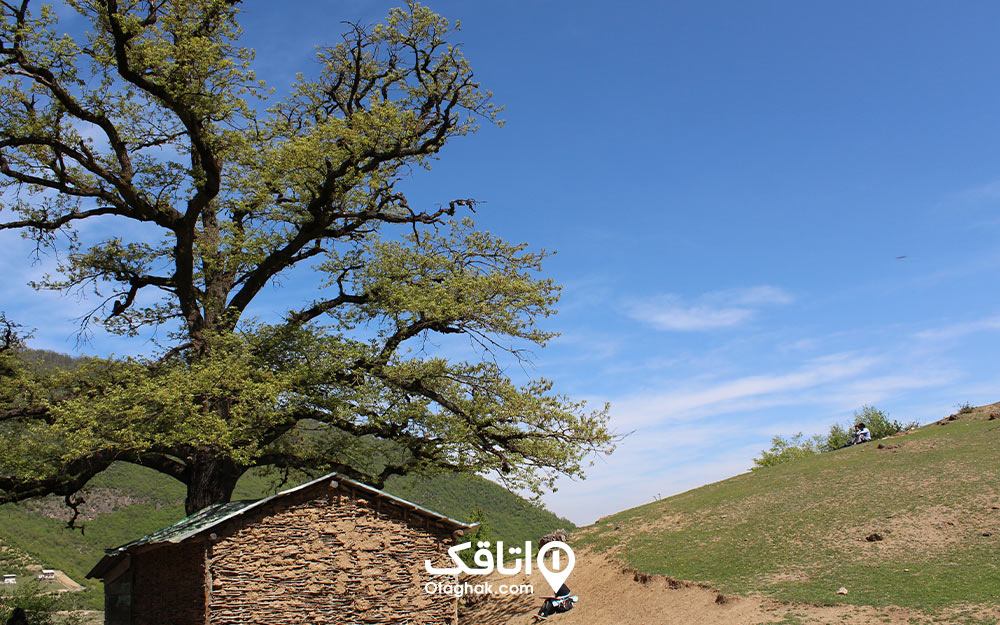 بافت سنتی روستای زیارت