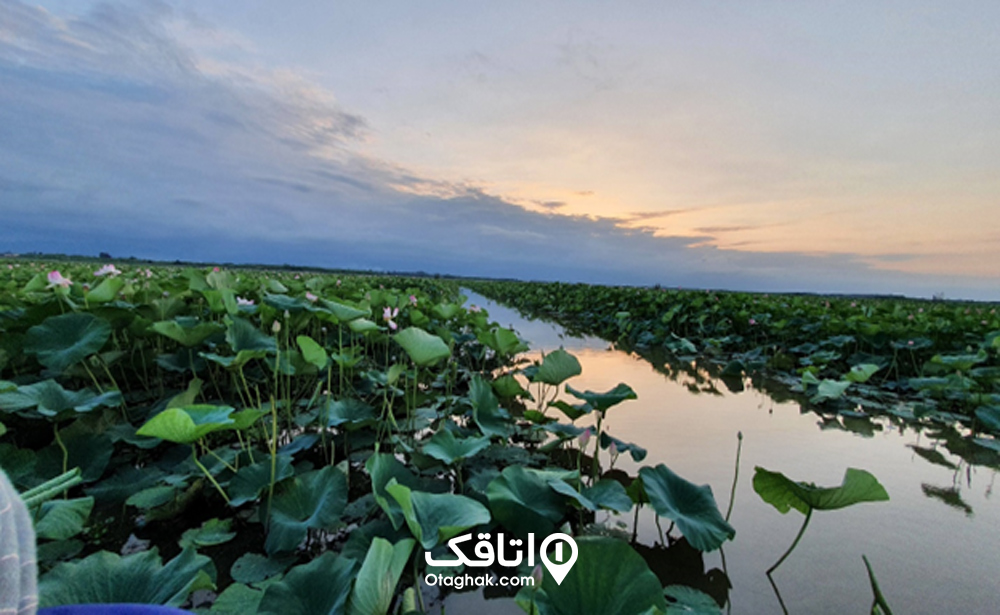 تالاب انزلی