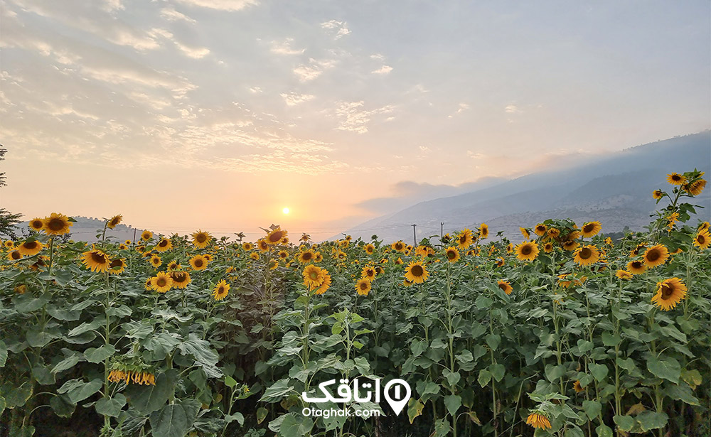 روستای وری کیاسر