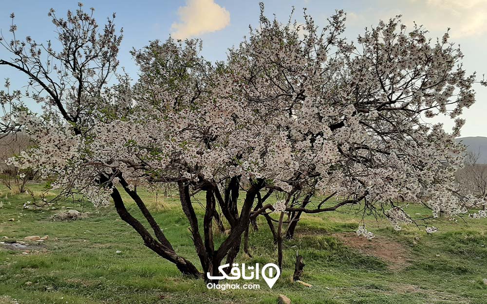 پارک ملی تنگ صیاد