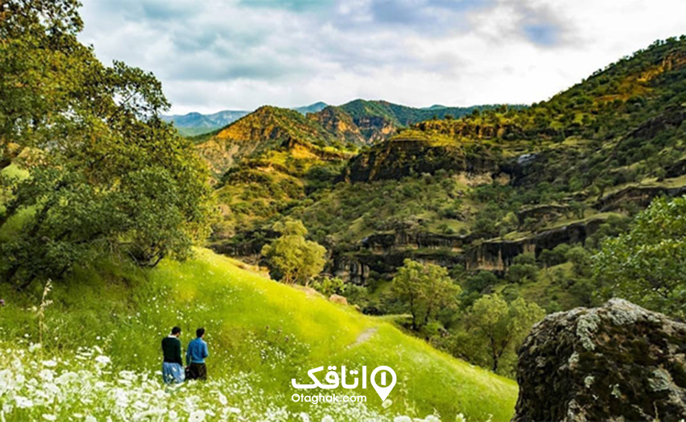 منطقه حفاظت شده بوزین و مرخیل
