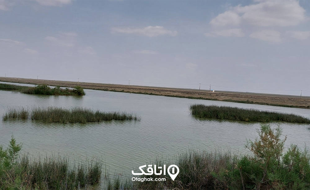 منطقه شکار ممنوع صوفیکم