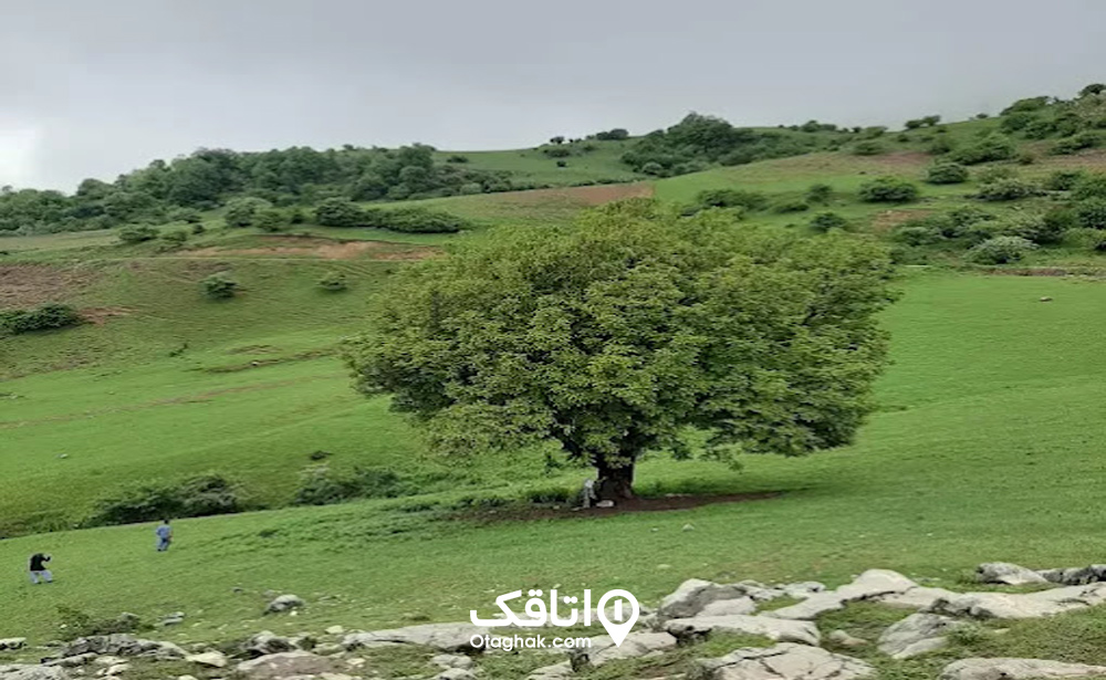 نکاتی که در سفر به رامیان لازم است بدانید