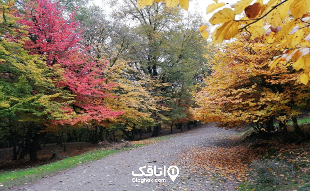 چشمه نیلبرگ