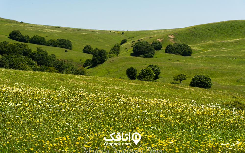 سفر به شهر بره سر