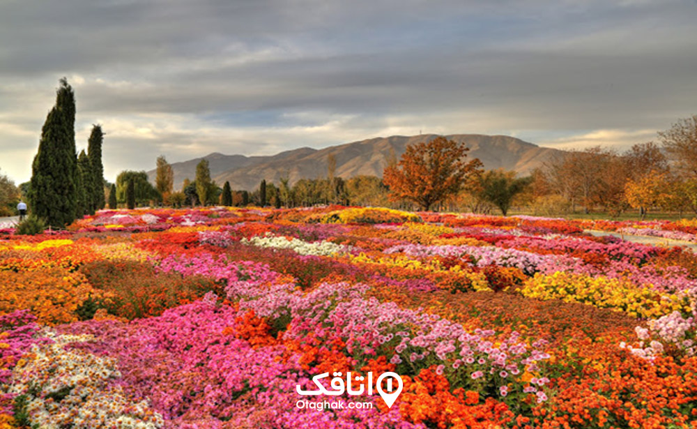 باغ گیاه‌شناسی