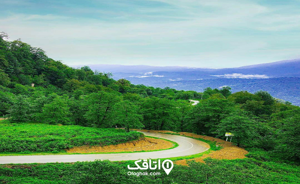 آبوهوای شفت