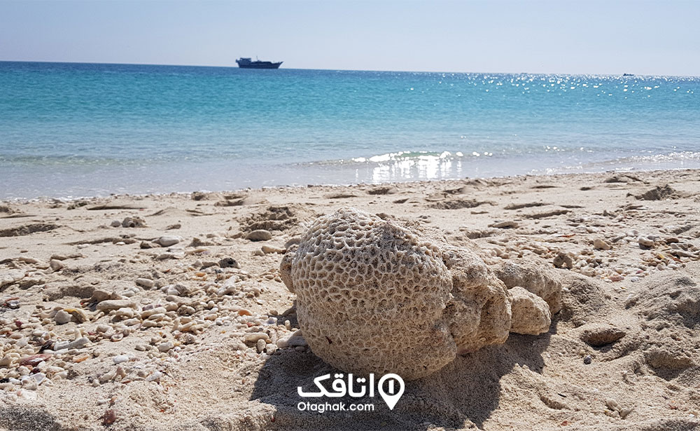 جزیره-شیدور