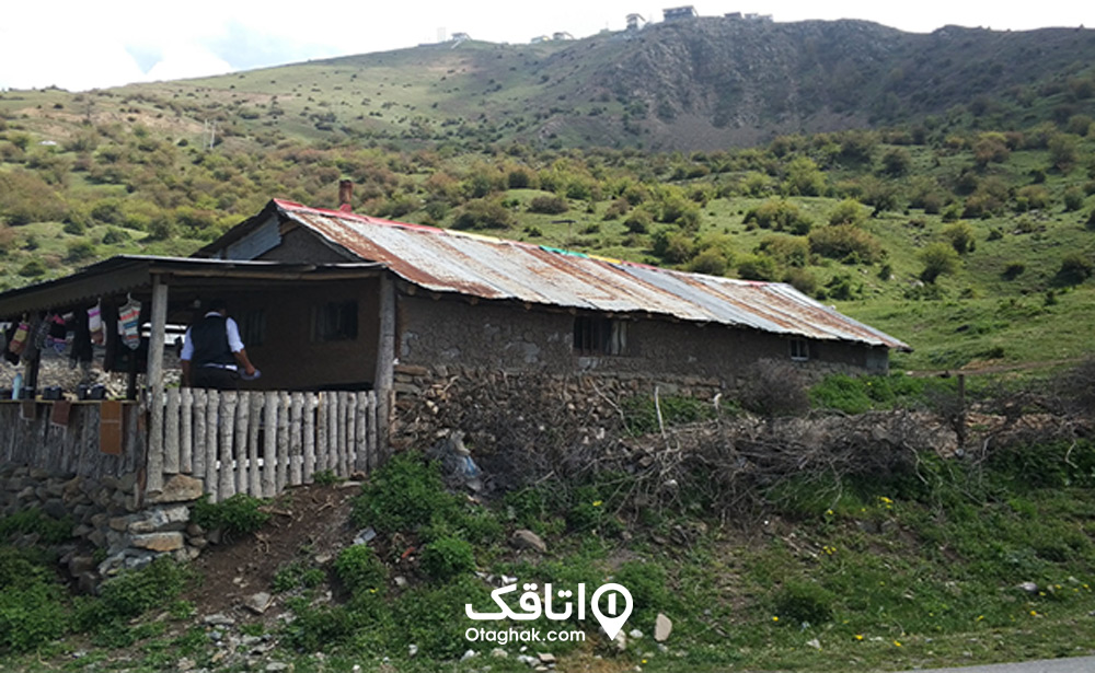رستوران هلی نو