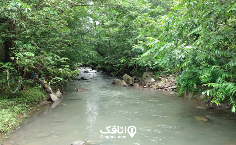 روستای چنار رودخان