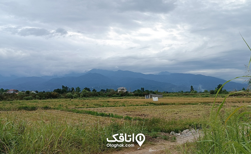 روستای قاسم آباد