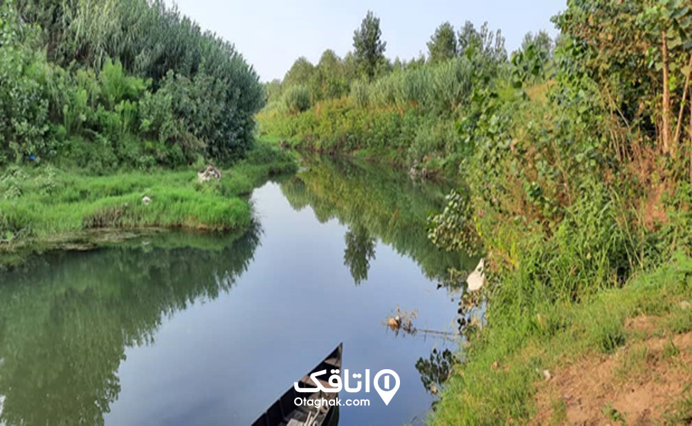 ولیسه، دنیایی وارونه در آب