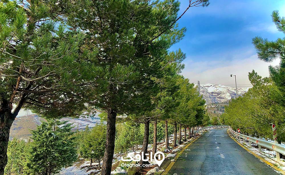 کوهسار تهران