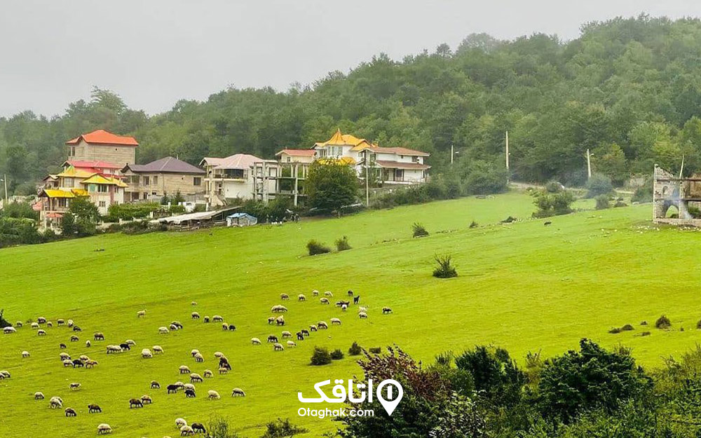 جاهای دیدنی شمال در بهار کلاردشت