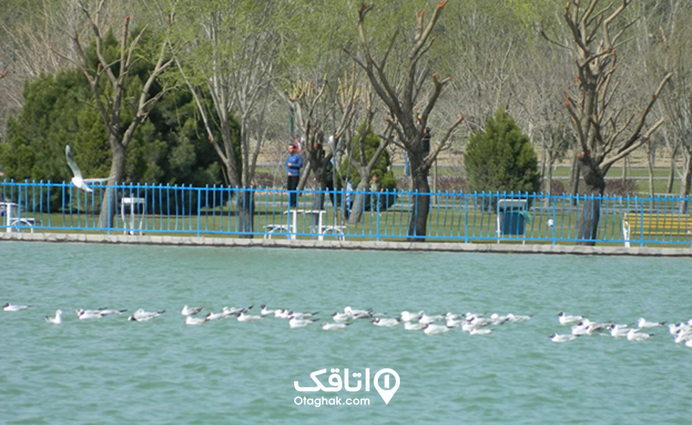 دریاچه آزادگان