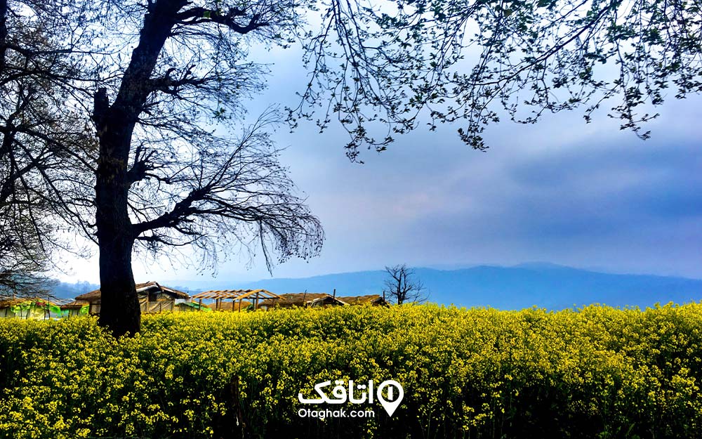 آبوهوای نکا