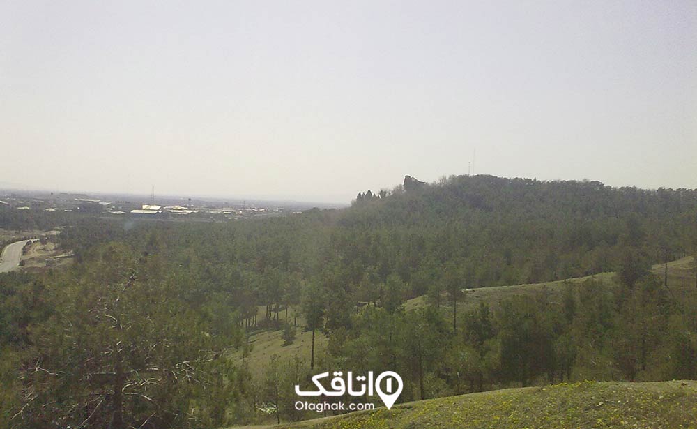 پارک جنگلی چیتگر