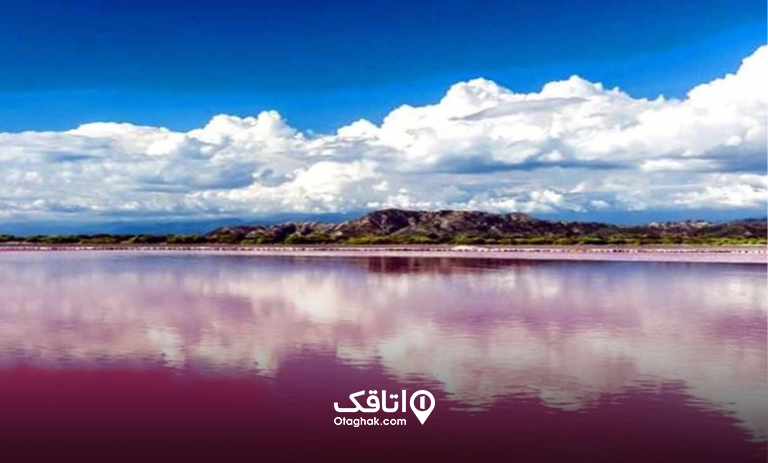 لیپار