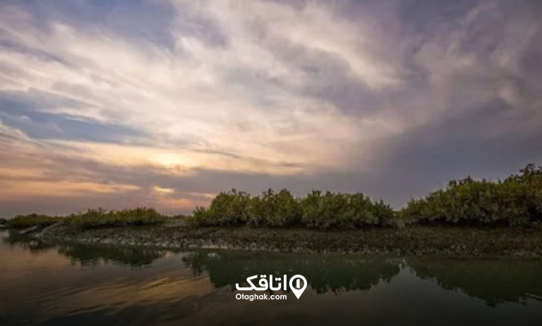 جنگل حرا عسلویه