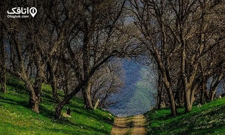 مسیرهای دسترسی به مریوان