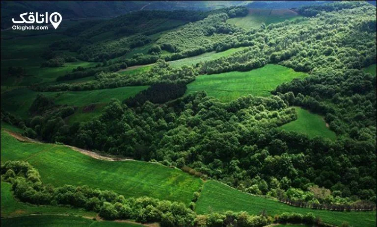 جنگل‌های هیرکانی مرزن‌آباد کجاست
