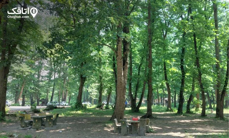 پارک جنگلی سعدآباد مرزن‌آباد کجاست