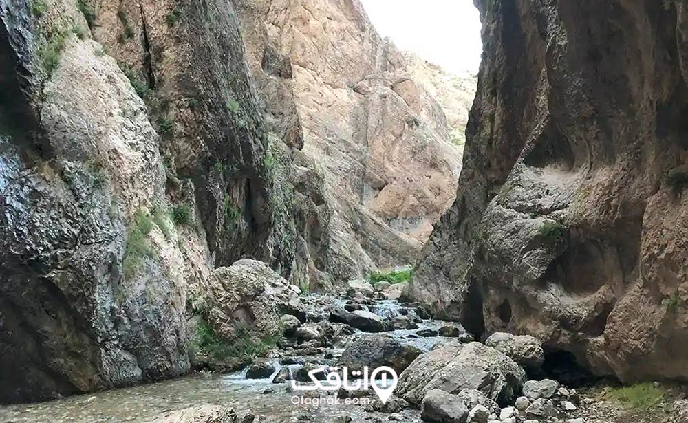 تنگه واشی