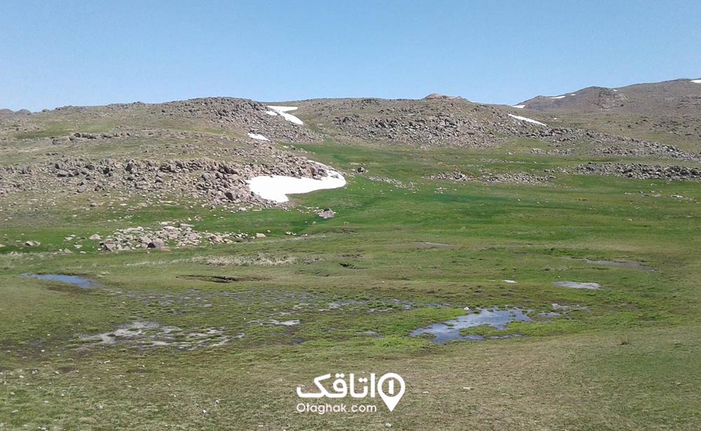 پوشش گیاهی روستای وردیج