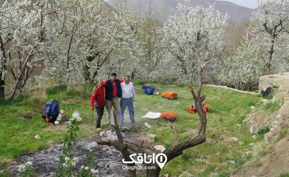 پوشش گیاهی روستای وردیج