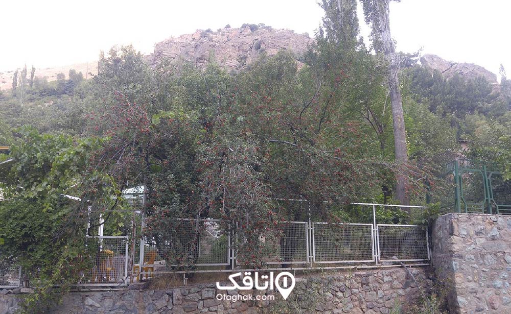 آبشار کلوگان