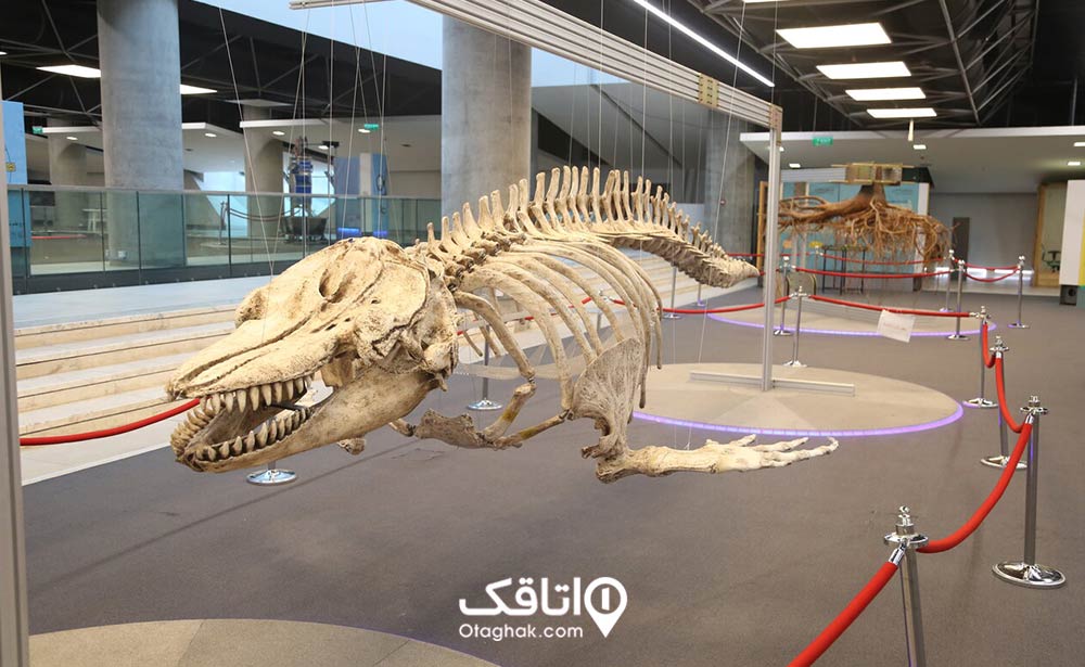 باغ علم نوجوان