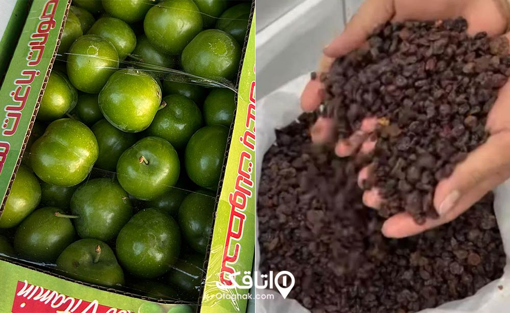 کشمش و گوجه‌سبز شهریار