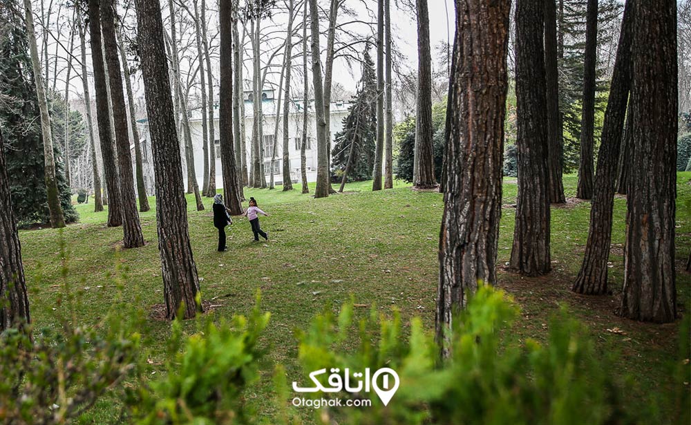 باغ سعدآباد