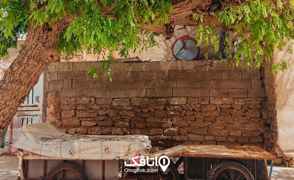 بوشهر در فصل بهار