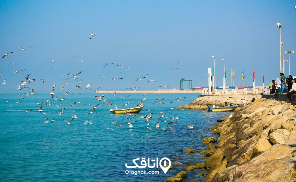 بوشهر در فصل پاییز