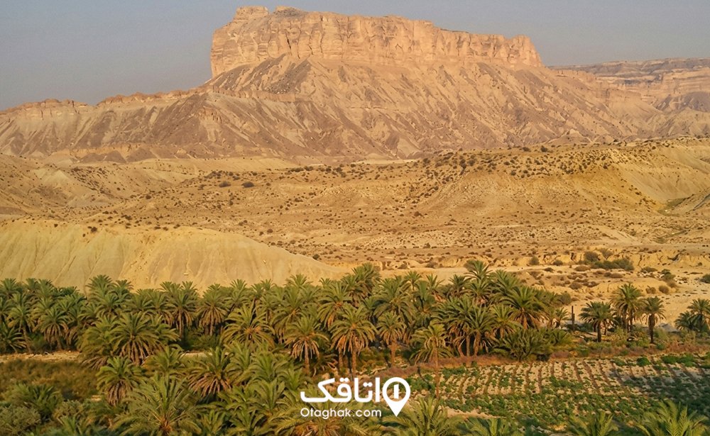 بوشهر در فصل تابستان