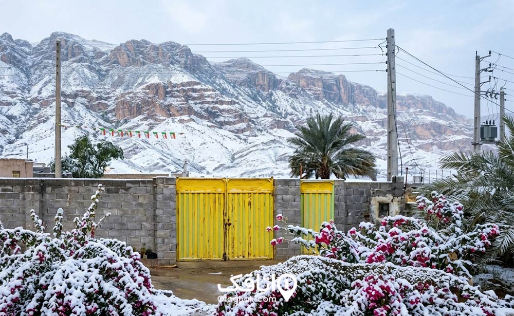 بوشهر در زمستان 1395
